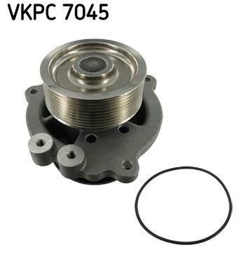SKF Wasserpumpe
